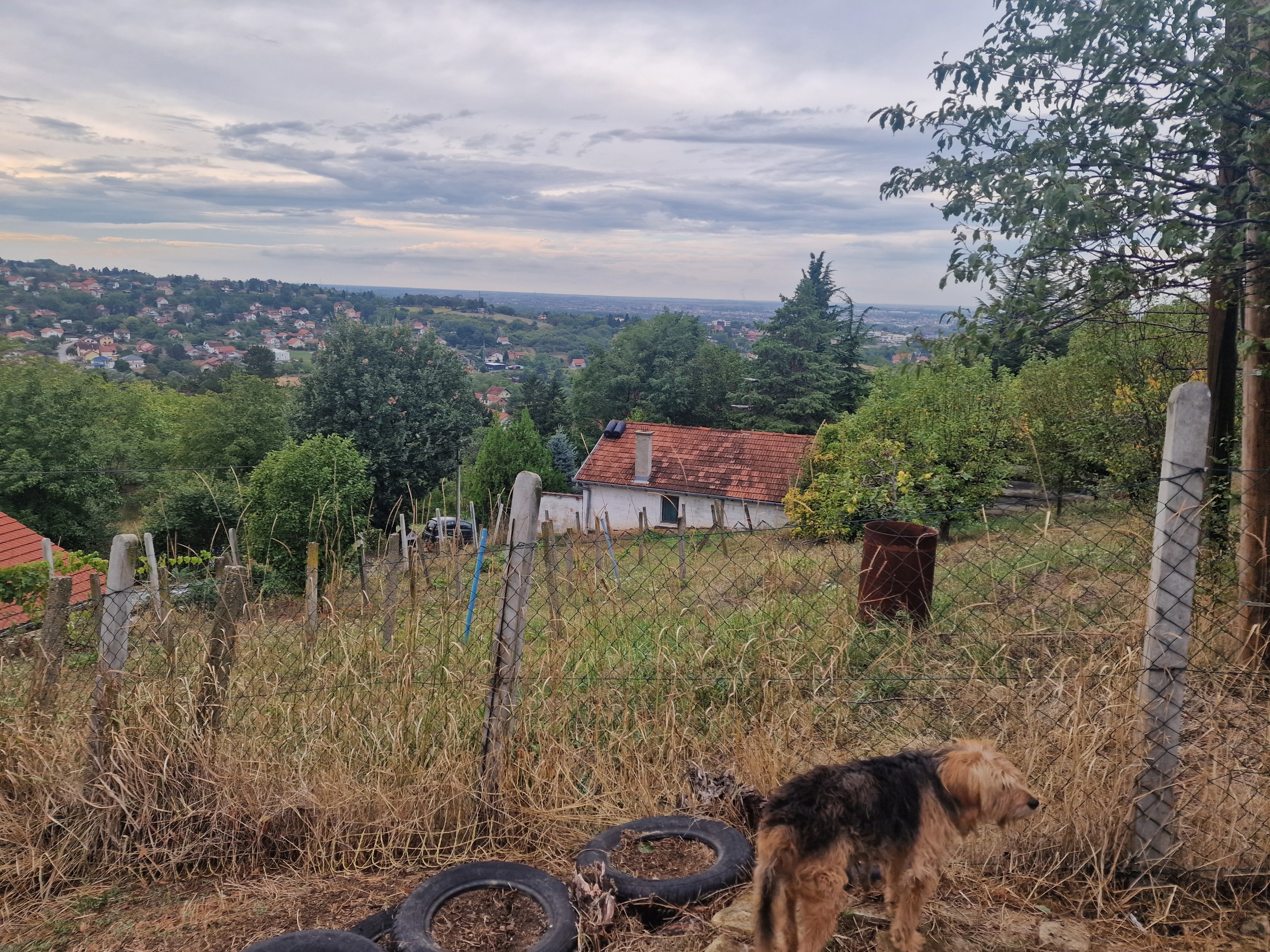 Pogled koji oduzima dah: Imanje od 14 ari u najmirnijem delu Sremske Kamenice