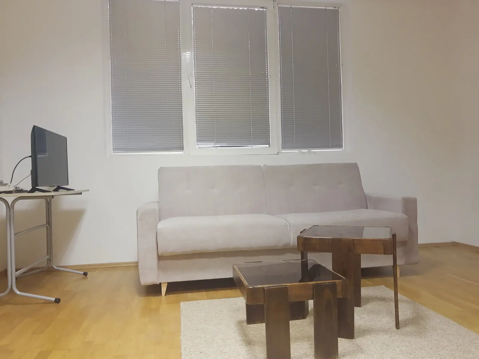 1702380870301 Tiha oaza u srcu Novog Sada: Renovirana garsonjera sa odvojenom kuhinjom u Centru